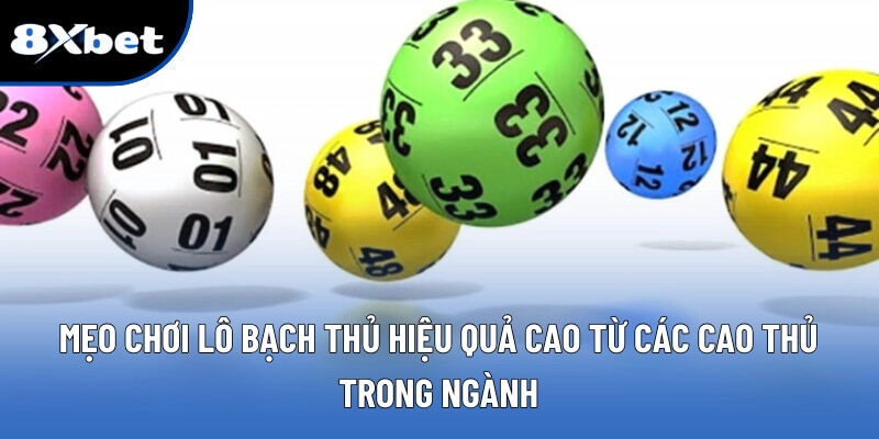 Lô Bạch Thủ - Cách Bắt Số Chuẩn Xác Mỗi Ngày Tại 8XBET
