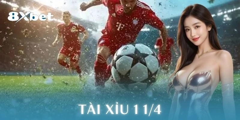 Ví dụ chi tiết cách chơi tài xỉu 1 1/4